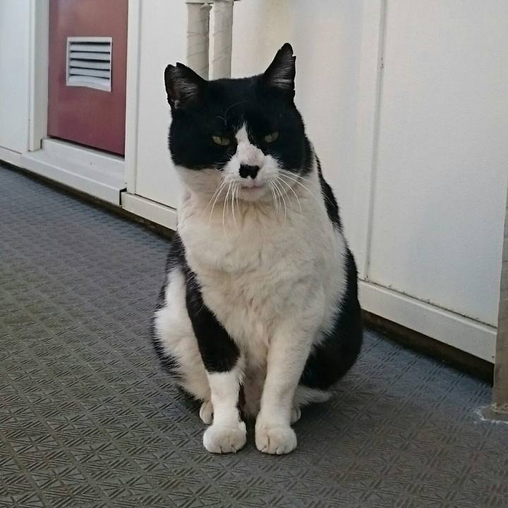 59cf2888 5475 437a 8580 493407b3671b