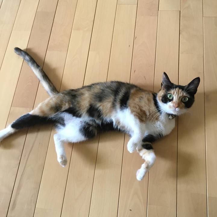 59cf8db7 e2b9 44f5 8ee8 b1332ff972d7