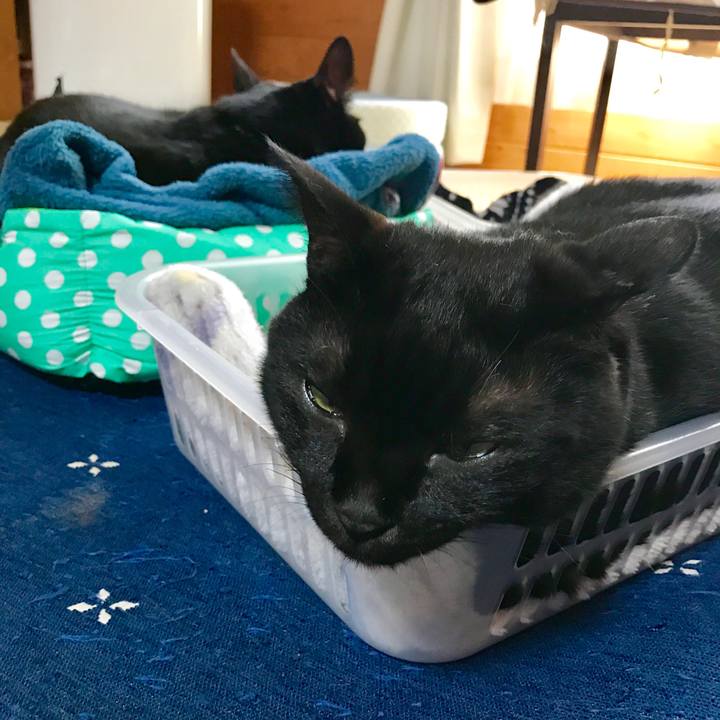 59cf9f87 f4f5 457f ac6b e1a9099eac25