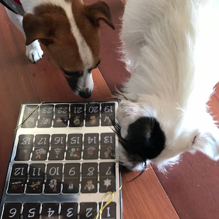 59d07771 12b9 4ab8 8e90 09913155cfd9