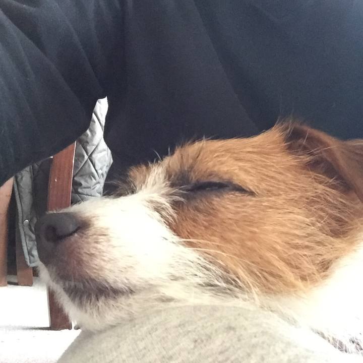 59d0f498 27a6 47fe a02b 49881d95924d