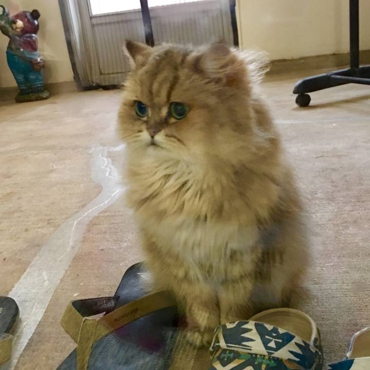 59d1450a 8b06 4cce 8639 3b7b359bfc51