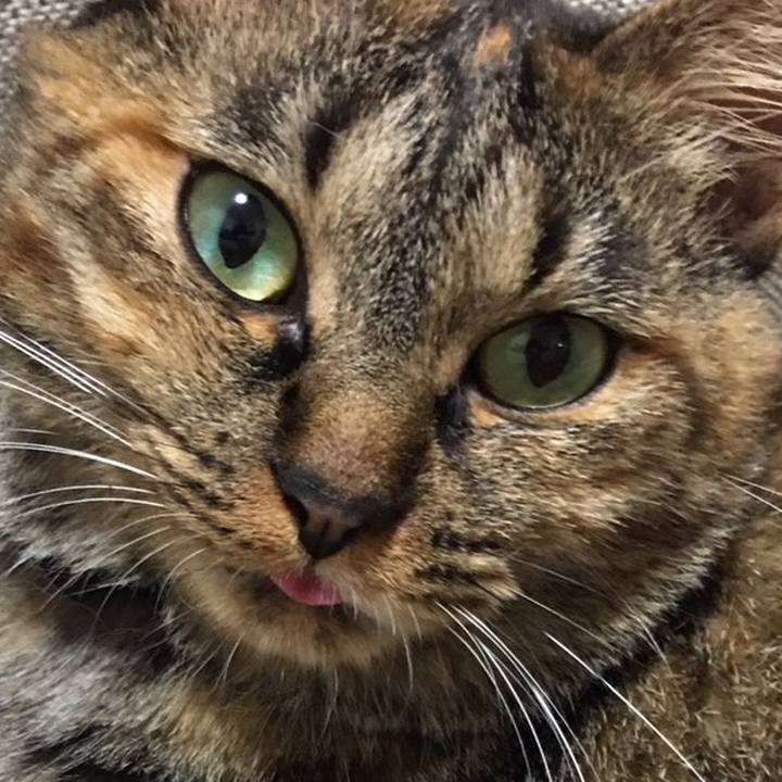 59d1ddc1 1773 4966 b793 975c433403a0