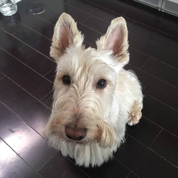 59d1e5a3 e702 4a85 8df7 cd8aa500d525