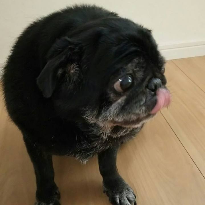 59d24429 e8e6 45c7 afc3 621ef3328099