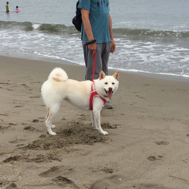 59d2b87a bdb3 473e b636 ad8317daf90f