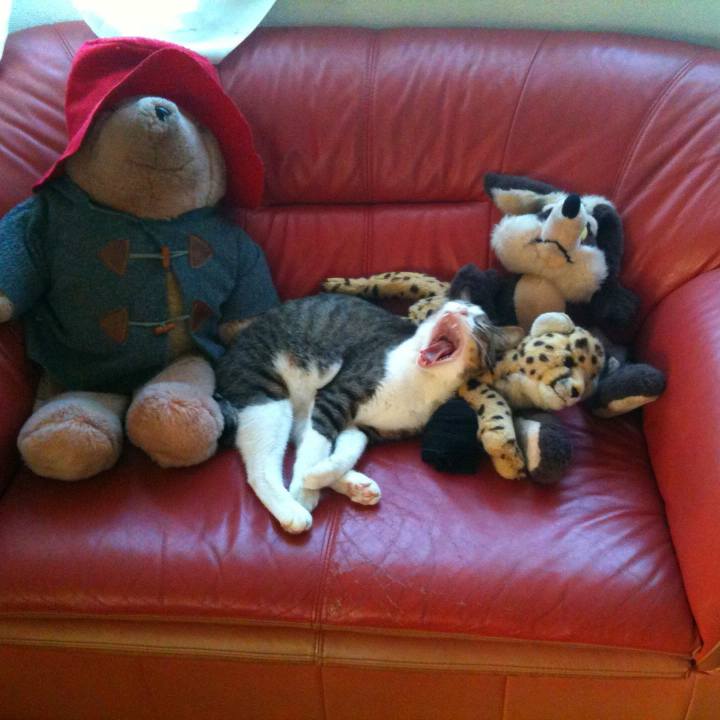 59d394fb dfbb 46ea 95ef 6ac37a5e9fe2