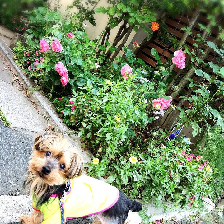 59d42148 63d8 4a51 8c66 ae844e7e36e3