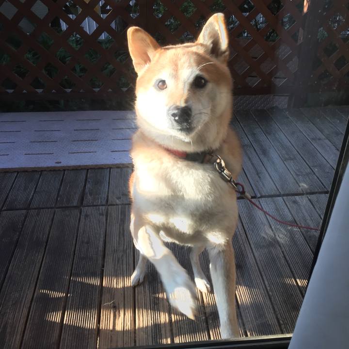 59d42633 fe5d 4487 9c56 1c07c6f1c047