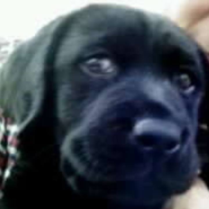 59d45107 b065 47de a19f 227965c82444