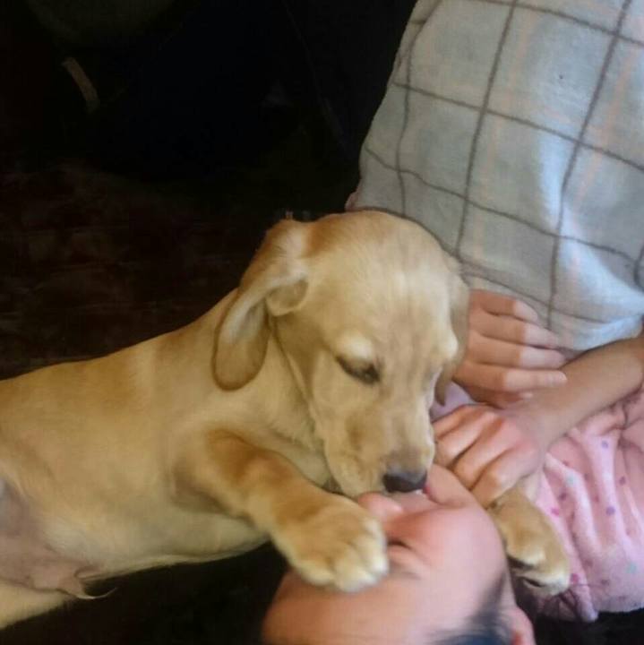 59d52b84 38ac 4d41 a42a d491edef9606