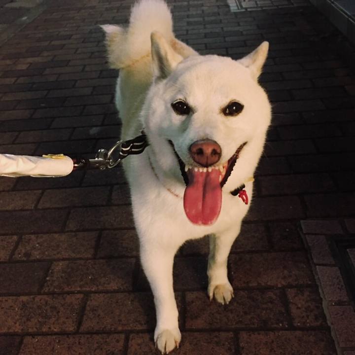 59d5acd9 107a 4a37 b2cc ac89af5f8570