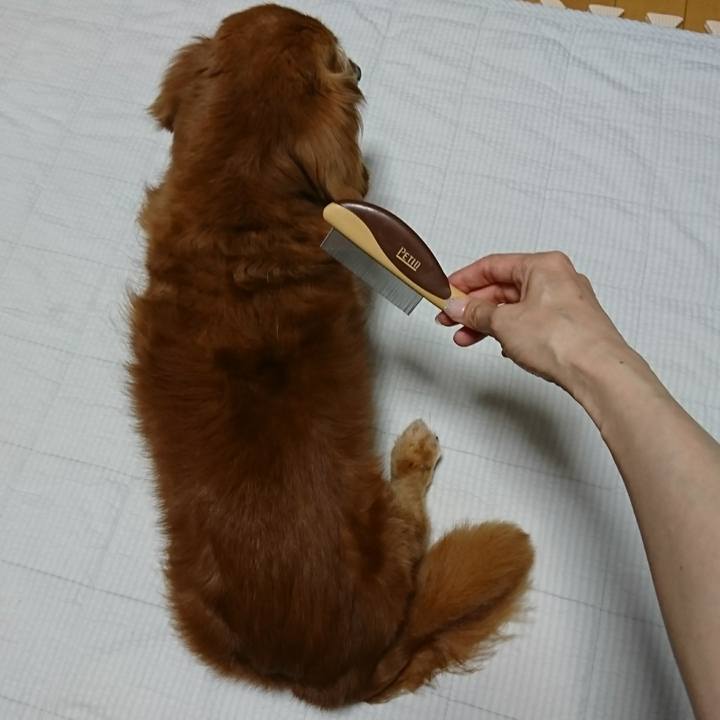 59d5c526 2271 4e58 82f7 3e1a42832cc9