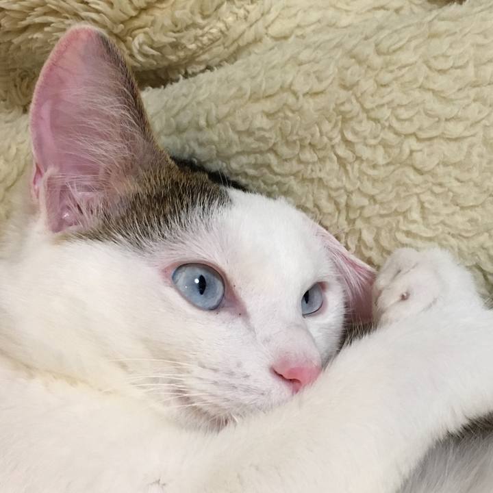 59d5cff6 64d9 40c0 8ea3 1ae56c0d4a9c