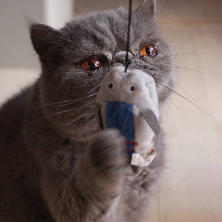 59d66651 834d 41f5 9d69 8963e1b3f058