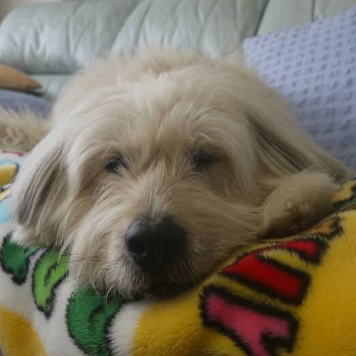 59d6ae3d 44a2 44f2 bdc5 49e787f30f95