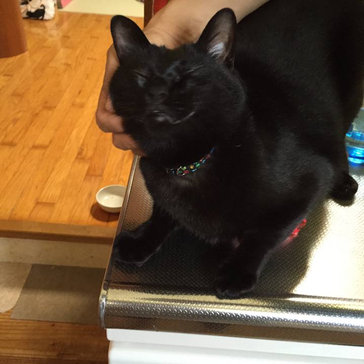 59d6b045 a827 480f 986c 4c787ccb7123