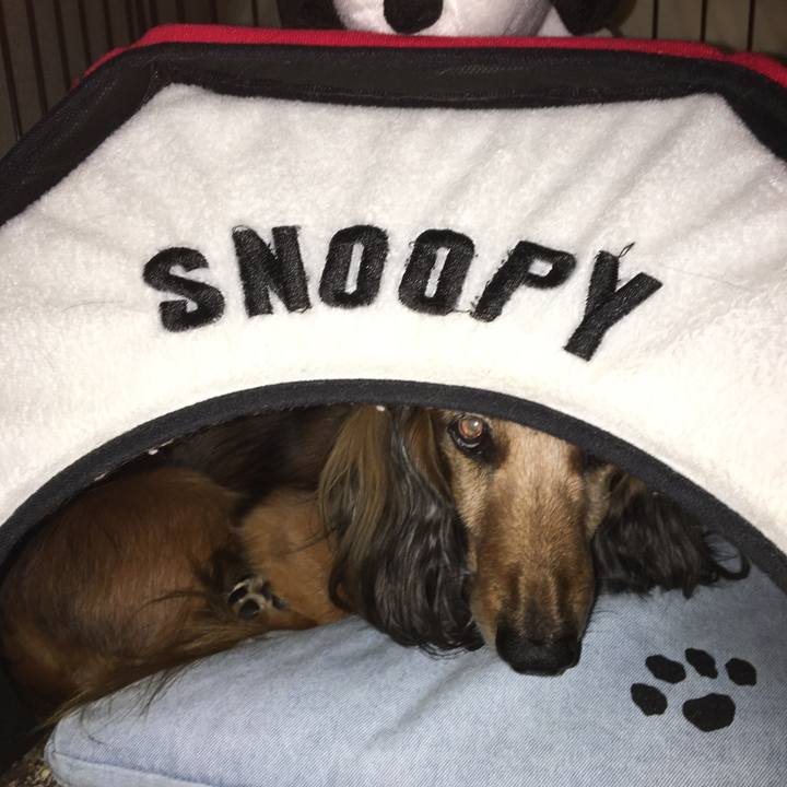 59d75525 cd9e 41d0 89aa 88081c33ae5d