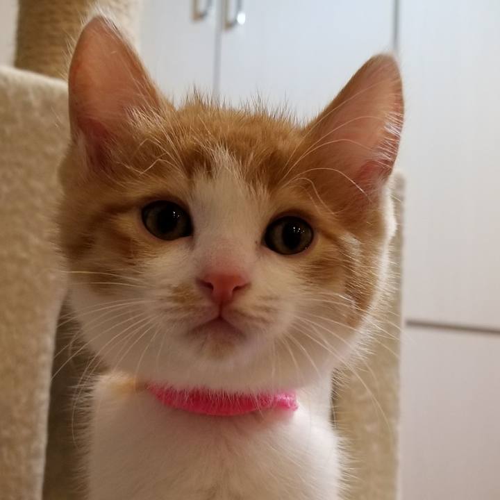 59d870eb 436f 49c7 b616 e29f3d5b5fa9