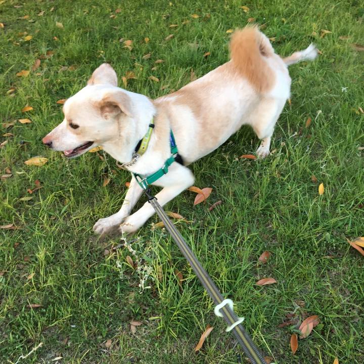 59d8f3af e724 4a61 8939 8b798fe6b4d9