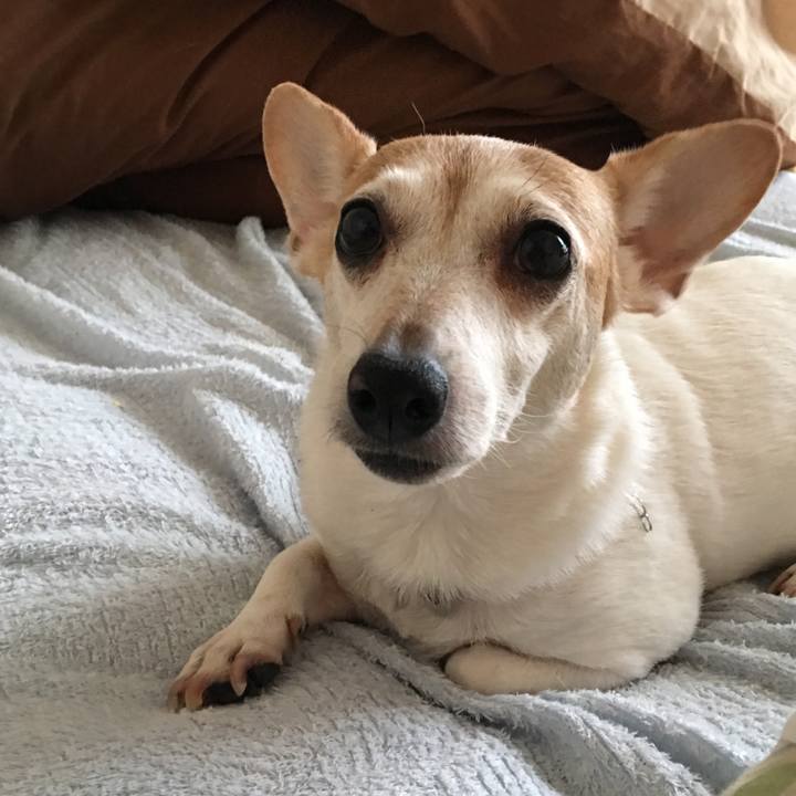 59d94dbc 8bdb 49d0 87a3 75b64f58e396