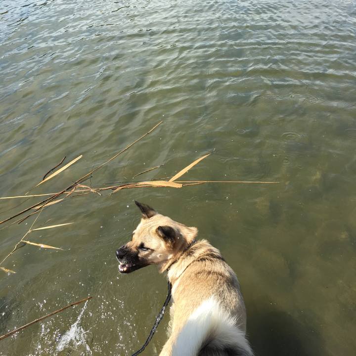 59d97b04 1de8 46cc a09c de6a2d88537b