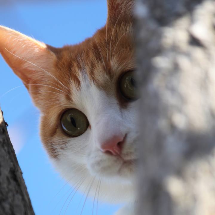 59d9859e f0a9 44f5 8861 5af9279483b5