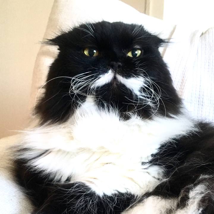 59d986bd 22da 4a95 b024 b0f84d0cc7d2