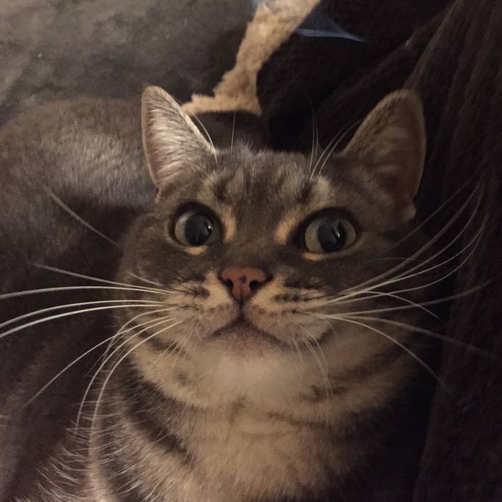 59d9ba42 423a 4f5d a3a4 270300b0f8bc