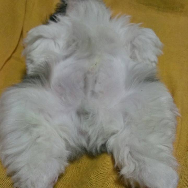 59d9cb1d 0a46 44ac 9477 c44e138a88f3