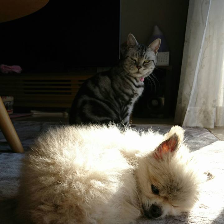 59d9e4f5 7fc3 4480 845f 512da8d9352a