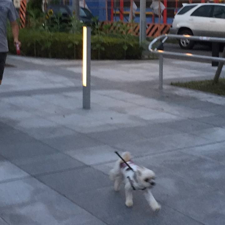 59da9f35 ab2f 46ac 86e8 71245e9fb4eb