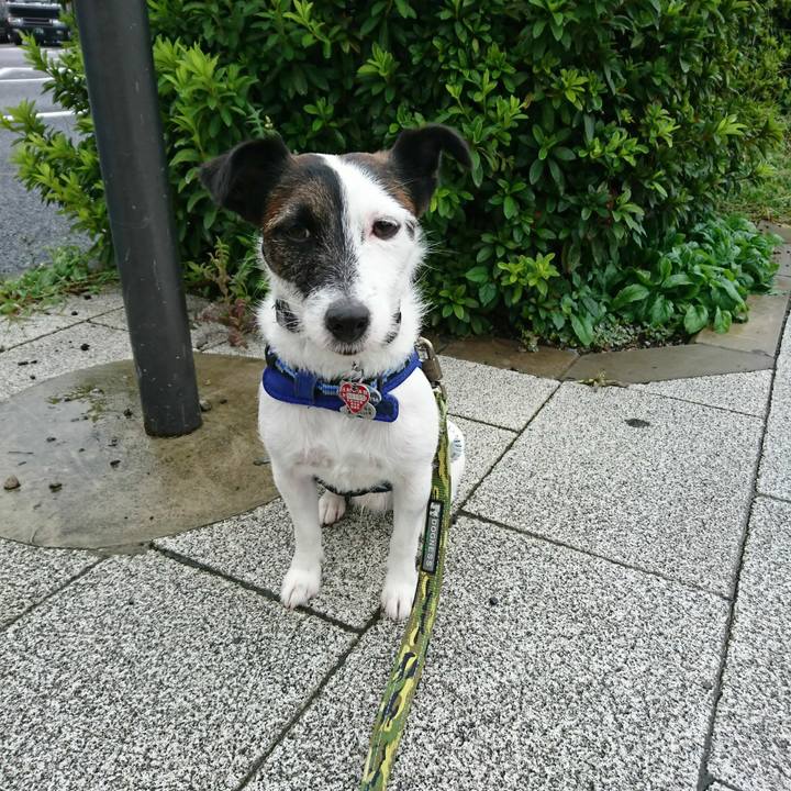 59daba3a c269 445c bf33 f52851a53ed9