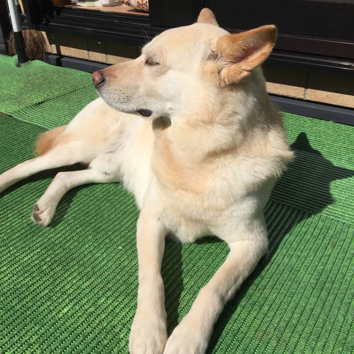 59db210d ac13 4d6c 9569 647330e75ad4