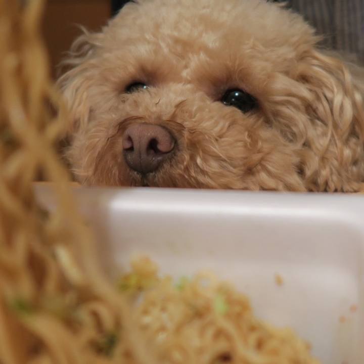 59dbbb50 9dcb 40c2 a9fc 5183058c1191