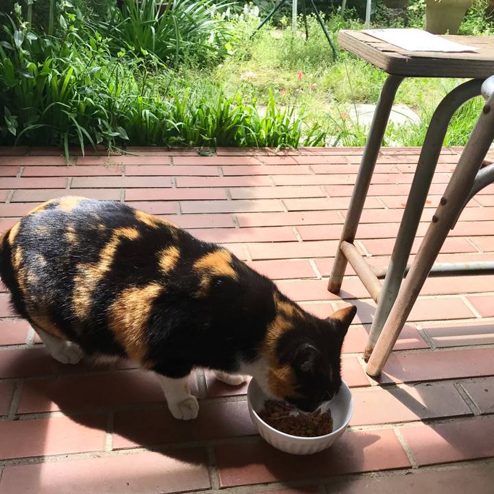 59dc445e 1c7c 4943 beb5 38ae4970e3a6