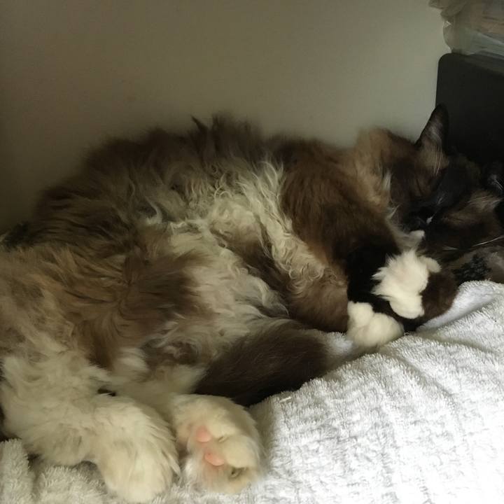 59dc97b7 2d9a 4b84 a006 fdec232b30cb