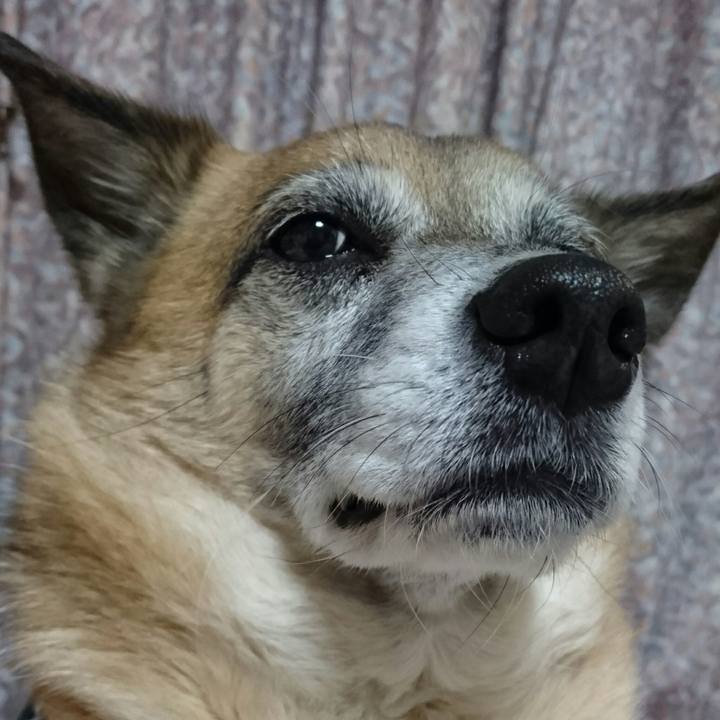 59dca06e cad1 4b70 9c82 d6644713a319