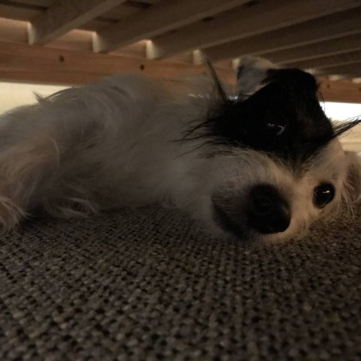 59dd81a5 ff1d 4ab4 b785 321cabb13340