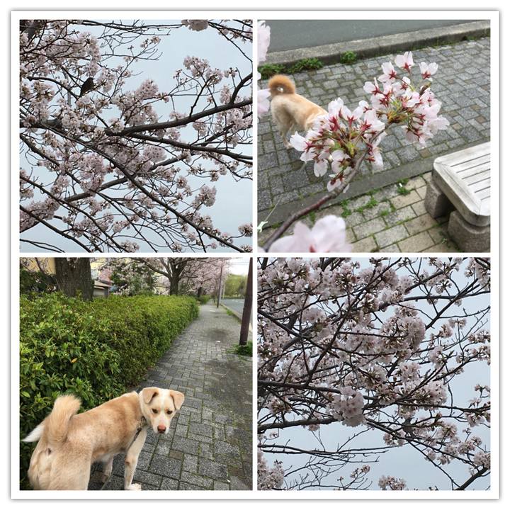 59dd96e0 bee0 42be b6c3 33424cd9c2b4