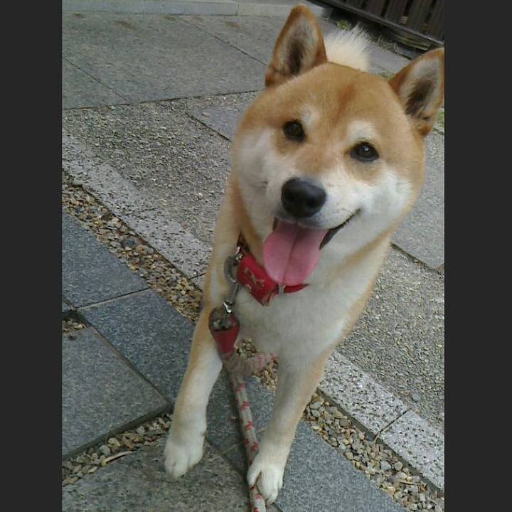 59de3893 7412 4803 9cd3 9d943a5f842c