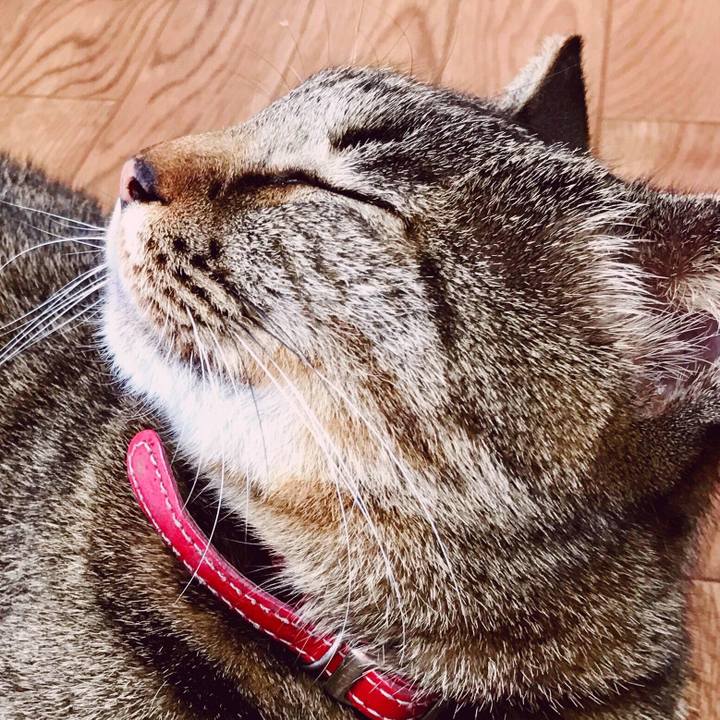 59de8cd6 04b0 40ef bac7 a83966c88303