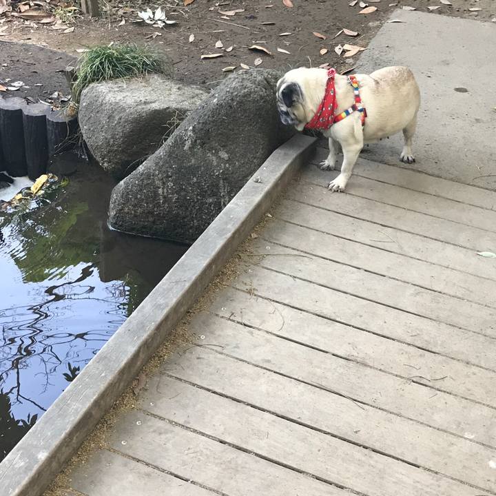 59decfaa 26df 4648 9680 8c23e7323032