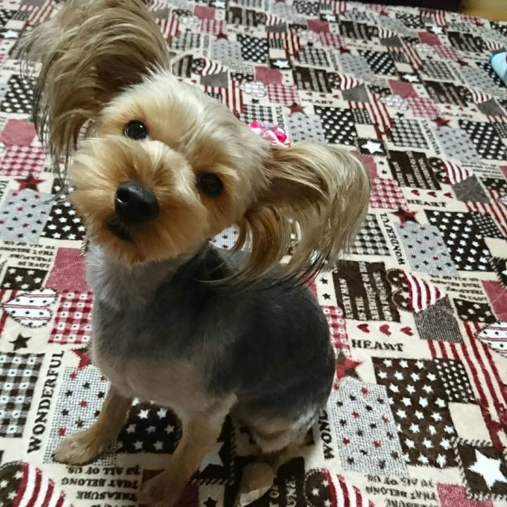 59deecc5 0378 4514 92e7 eefc4056586f