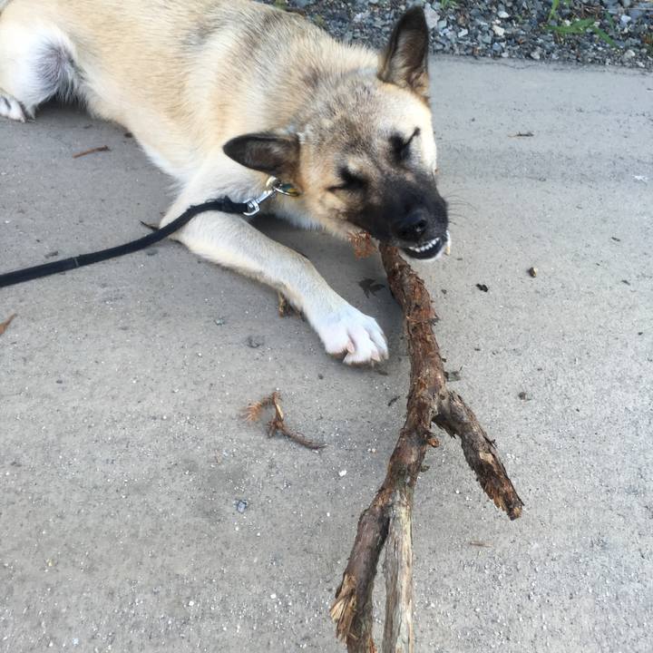 59def5c7 3afc 4137 892d 05fa9afc063f