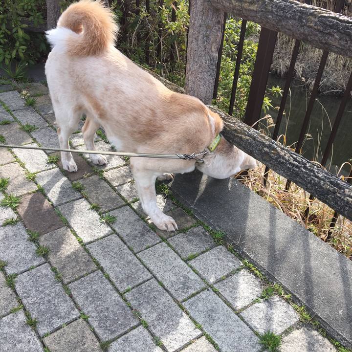 59df27eb ac8c 446a 9f56 fe525268d25d