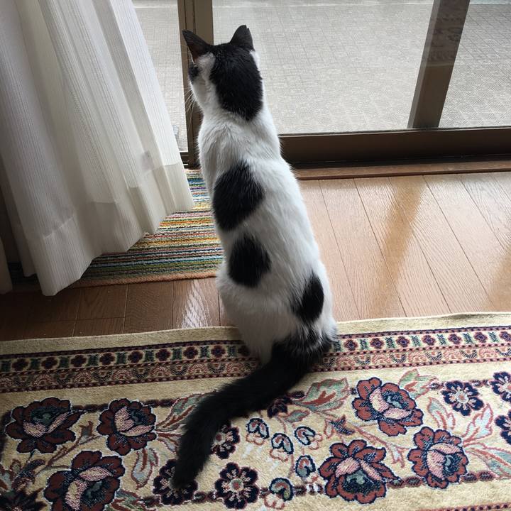 59df5c58 42bd 4546 ac3c c60b283ff02d