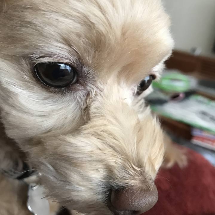 59dfbc67 8dfe 456d a574 786acad23eb6