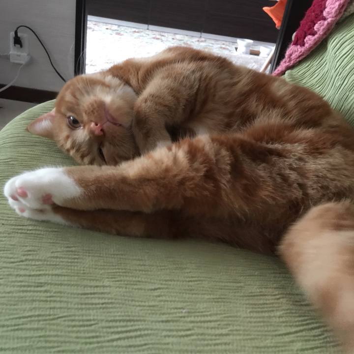 59dfe970 820f 4fd5 8918 10f5fc313ae6