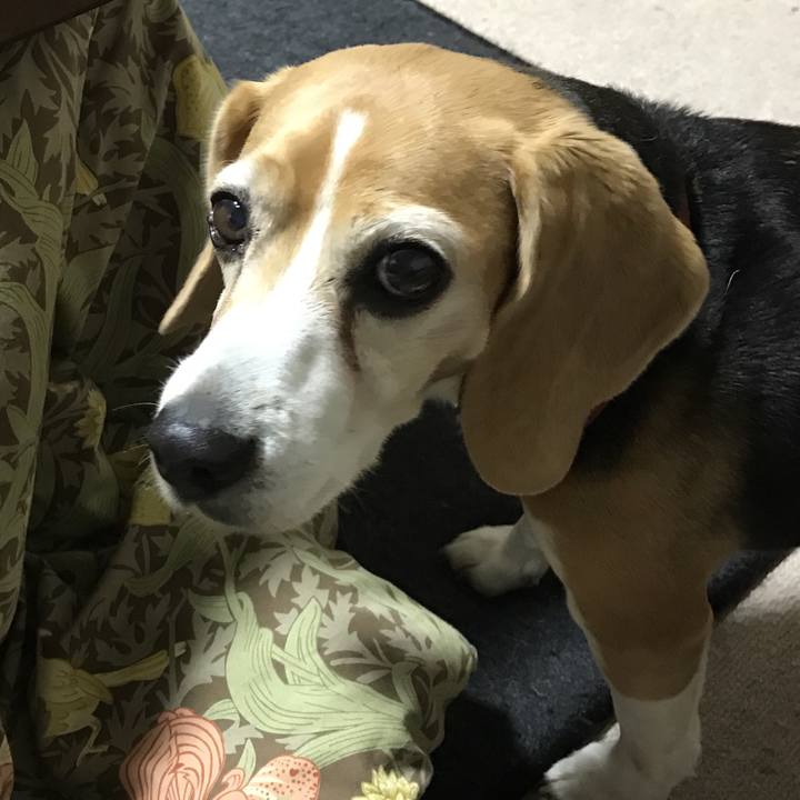 59e00d46 6b16 4716 b436 a0730865bcb4